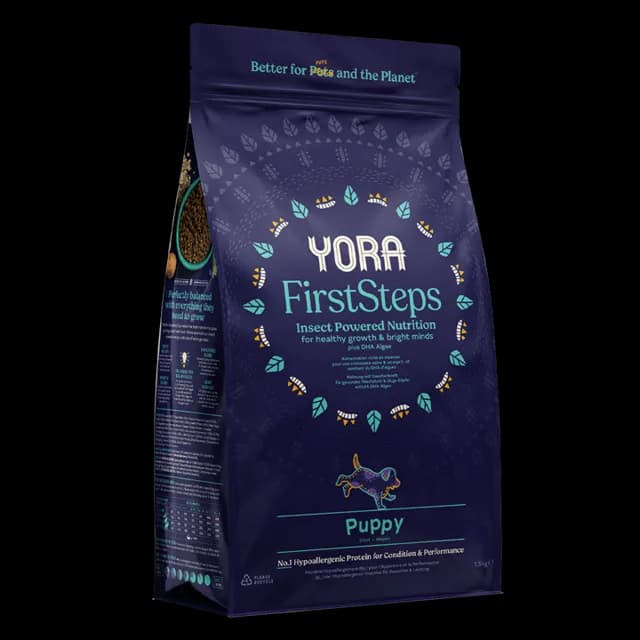 Yora First Steps – —
